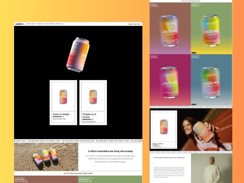 Diseño web a medida y ecommerce en Tarragona para marca de moda Mellows